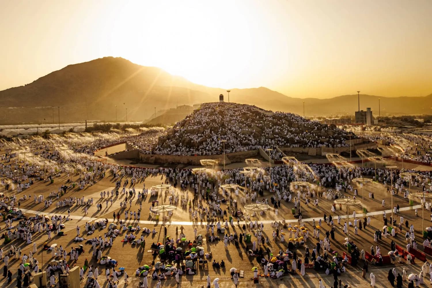 عند جبل الرحمة.. دعوات الحجاج ترتفع في أعظم مشاهد يوم عرفة