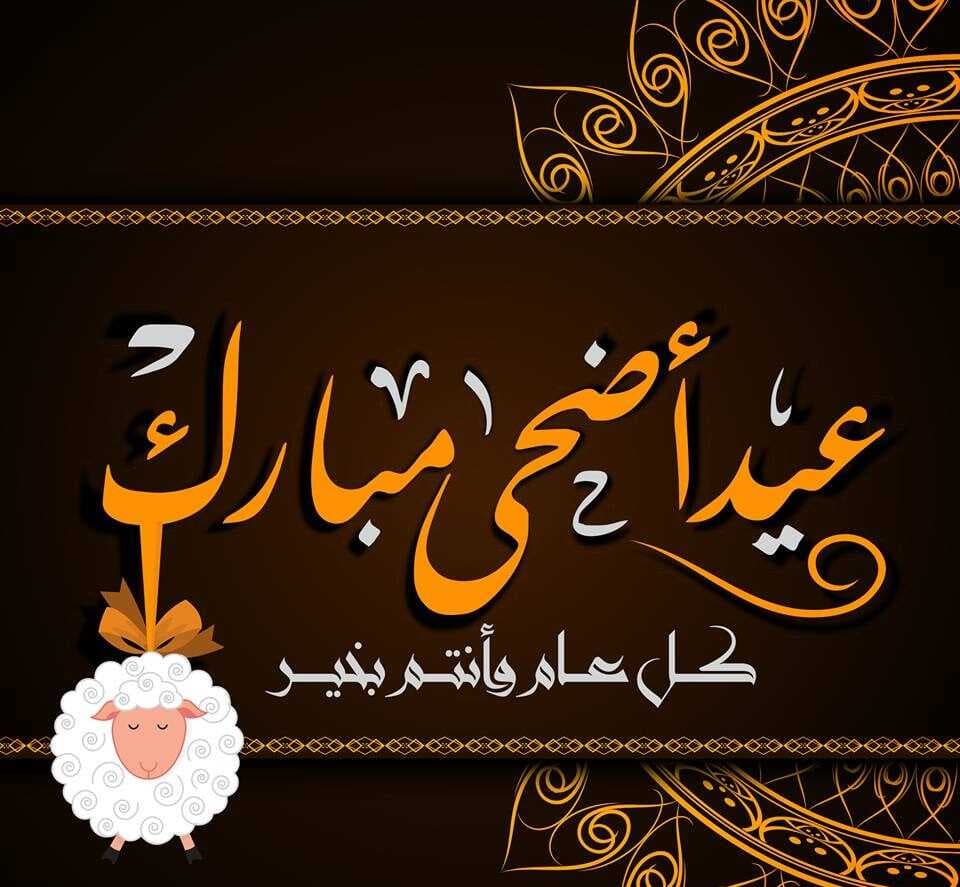 أجمل رسائل تهنئة عيد الأضحى 2026 للأهل والأصدقاء.. عبارات جاهزة للواتساب