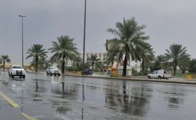 طقس اليوم.. أمطار رعدية ورياح مثيرة للأتربة وحرارة مرتفعة بهذه المناطق