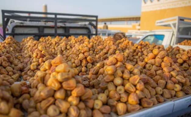 كرنفال بريدة يبرز ريادة القصيم.. 11 مليون نخلة تنتج نصف تمور المملكة