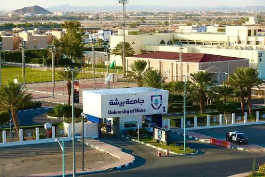 جامعة بيشة 