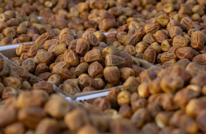 قصة الصدارة الرابعة للتمور.. كيف صنعت السعودية مكانتها في الأسواق العالمية؟