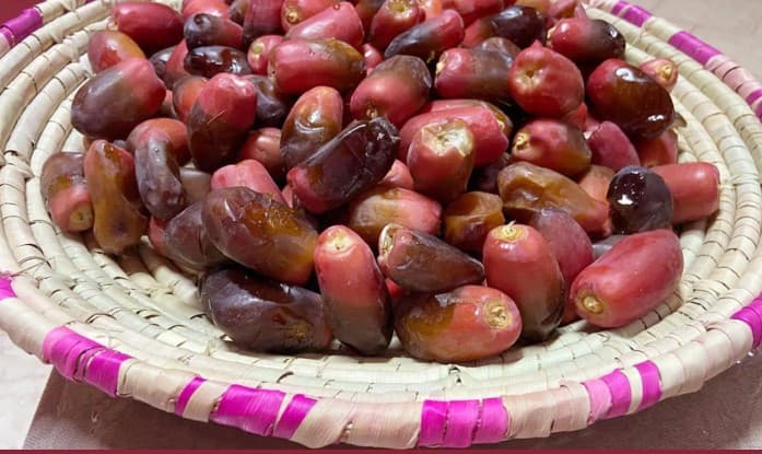 «حلوة العرينية».. صنف تمور يجسد تنوع نخيل القصيم وموروثها الزراعي